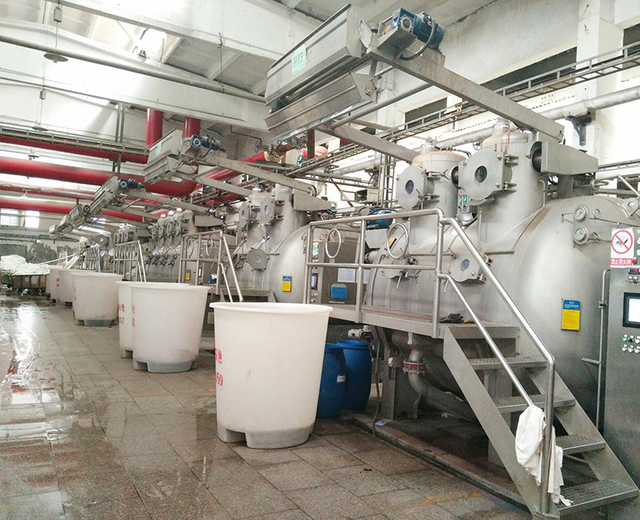 Softflow Dyeing Machine 12